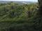 Finca 