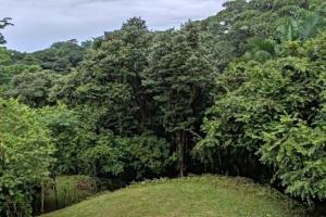 1hectarea con vista al mar