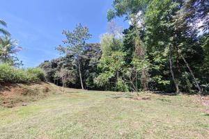 lote vista a la montaña lote vista a la montaña